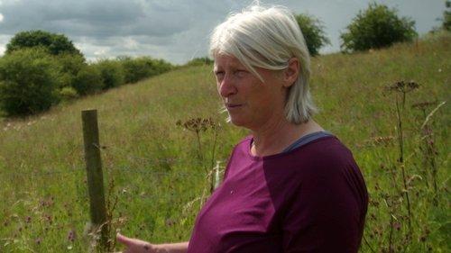 Forensics: Catching the Killer Season 1 Episode 3 - Murder at the Wedding