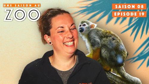 Une saison au zoo Season 8 Episode 19 - Episode 19