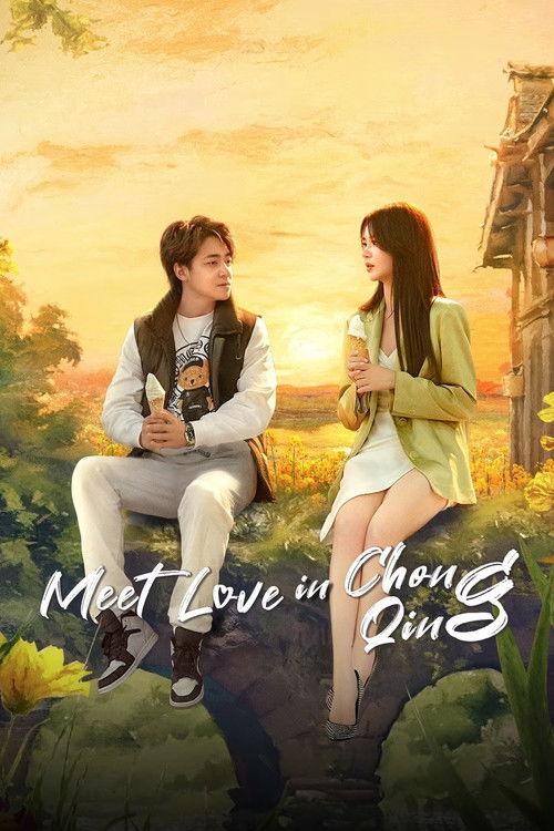 Meet Love in Chong Qing poster