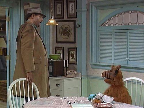 ALF Season 3 Episode 8 - Turkey in the Straw (2)