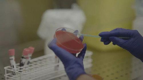 Pano Season 9 Episode 6 - Episode 6