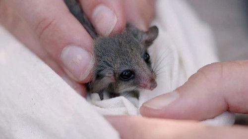 Gardening Australia Season 32 Episode 5 - Episode 5 Seed Saving & Sustainable Straw Bale House