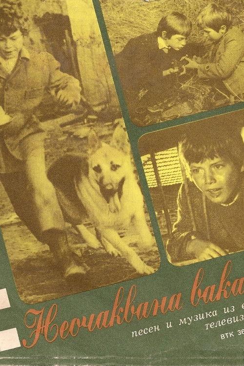 Unexpected Vacation poster