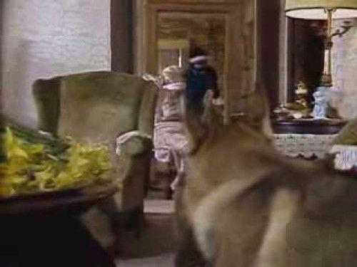 The Littlest Hobo Season 5 Episode 13 - The Genesis Tapes (1)