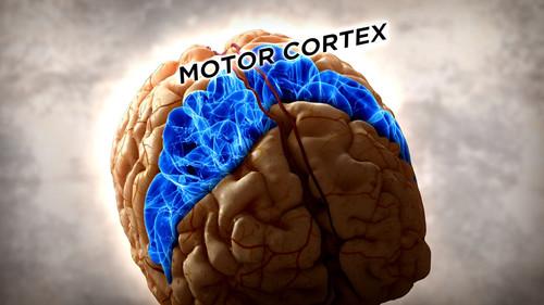 Brain Games Season 2 Episode 11 - Illusion Confusion