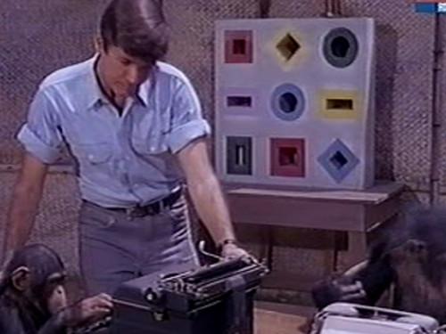 Daktari Season 3 Episode 7 - The Return of the Phantom