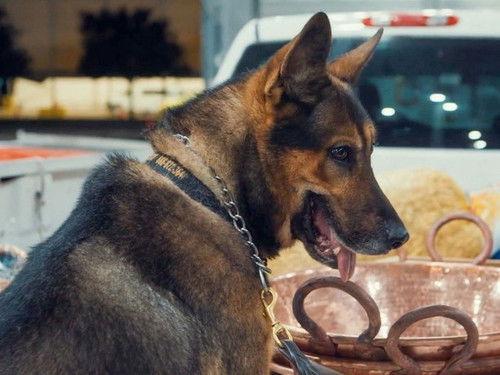 Contraband: Seized at the Border Season 6 Episode 1 - The Flint-Stoners