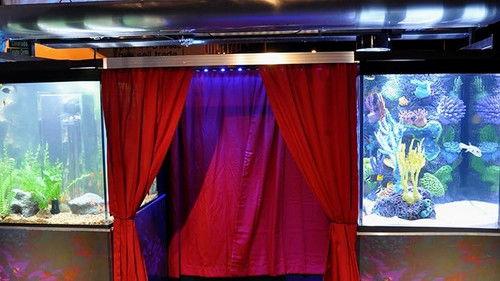 Tanked Season 3 Episode 14 - Smiling Is the Best Medicine