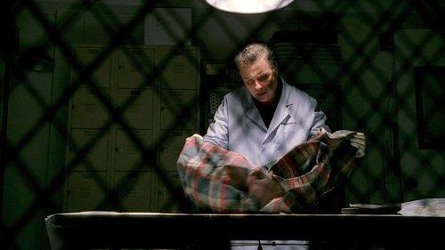 CSI: Crime Scene Investigation Season 1 Episode 10 - Sex, Lies and Larvae