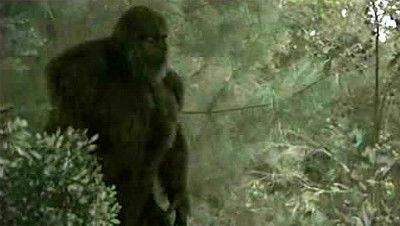 MonsterQuest Season 2 Episode 20 - Sasquatch Attack II