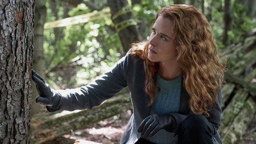 Mistletoe Murders Season 1 Episode 1 - Poison in a Pear Tree (1)