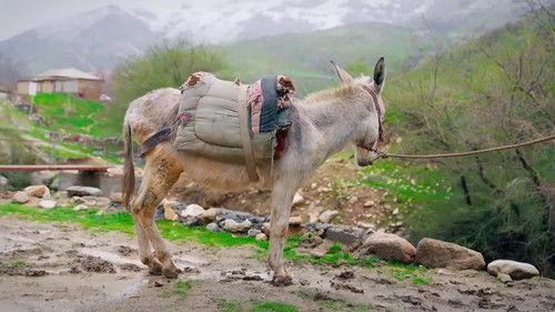 The Amazing Race Australia Season 9 Episode 6 - Leg 6