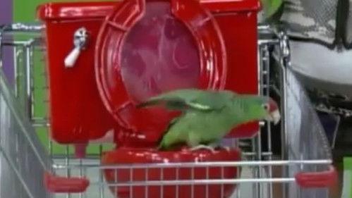 La Escuelita VIP Season 1 Episode 12 - Episode 12