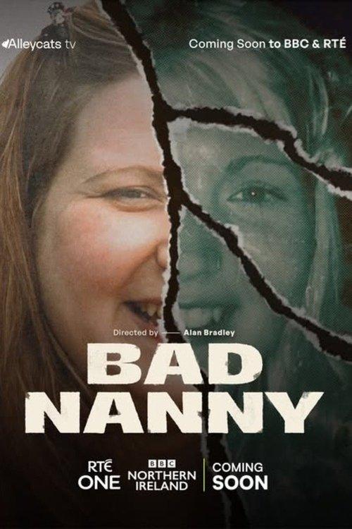 Bad Nanny poster