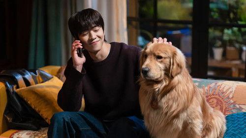 In Your Radiant Season Season 1 Episode 11 - Episode 11