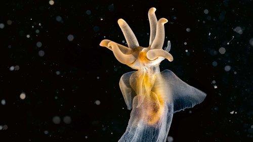 undefined Season 1 Episode 1 - Coasts