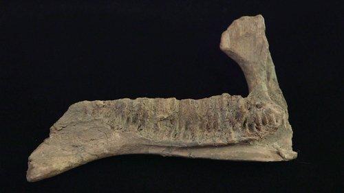 Pawn Stars Season 22 Episode 3 - Where the Pawn Stars Roam