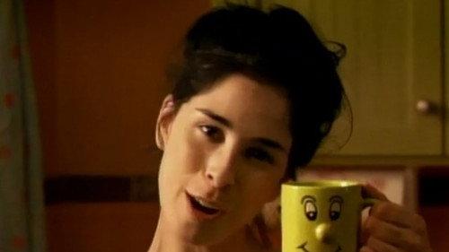 The Sarah Silverman Program. Season 1 Episode 1 - Officer Jay