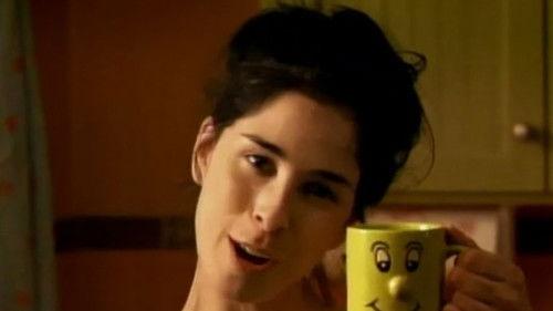 The Sarah Silverman Program. Season 1 Episode 1 - Officer Jay