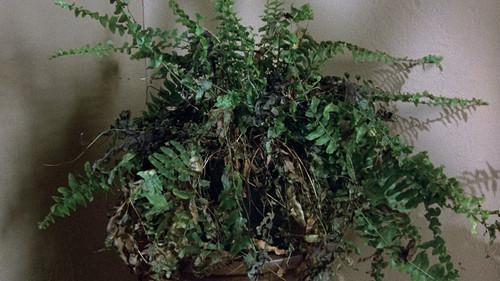 Hart to Hart Season 2 Episode 19 - Murder Takes A Bow