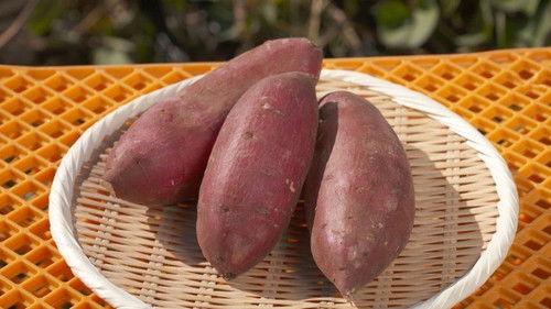Trails to Oishii Tokyo Season 3 Episode 12 - SWEET POTATO