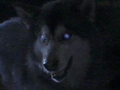 Are You Afraid of the Dark? Season 6 Episode 7 - The Tale of the Hunted