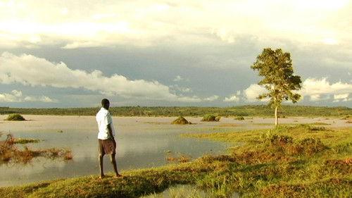 POV Season 23 Episode 5 - Good Fortune