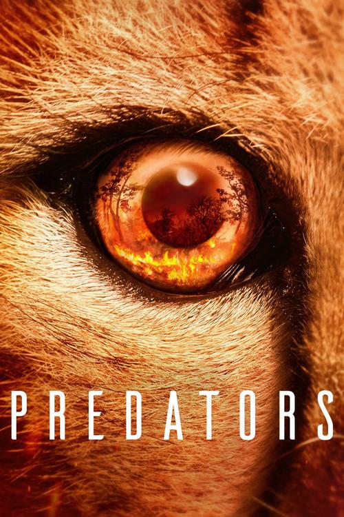 Predators poster