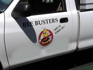 The Real Housewives of Orange County Season 2 Episode 8 - Birthday Sex