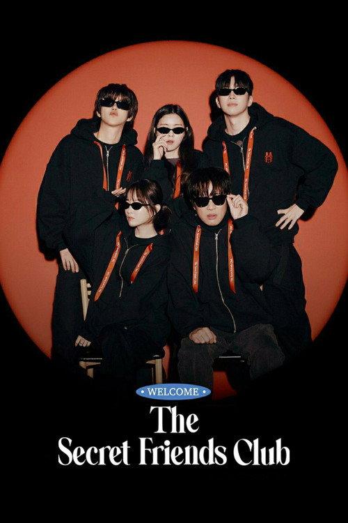 The Secret Friends Club poster