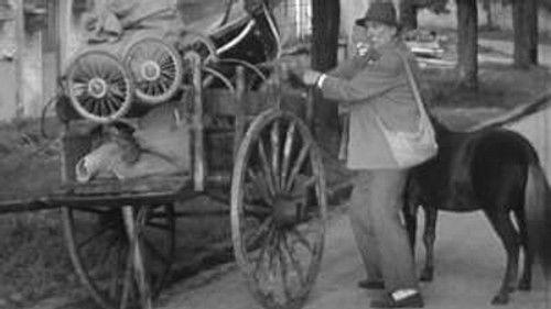 Poly Season 2 Episode 5 - Episode 5