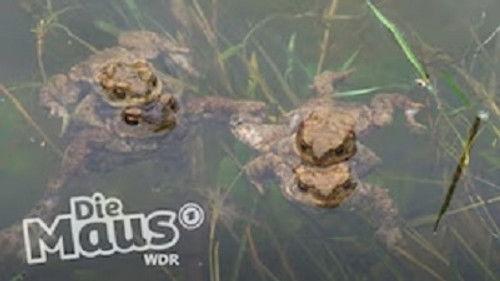 Die Sendung mit der Maus Season 54 Episode 12 - Episode 12