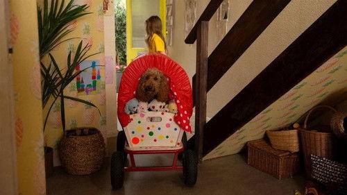 Waffle the Wonder Dog Season 4 Episode 1 - Waffle Tries to Be Still