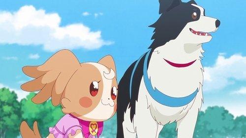 Wonderful Precure! Season 1 Episode 22 - Wonderful Go!