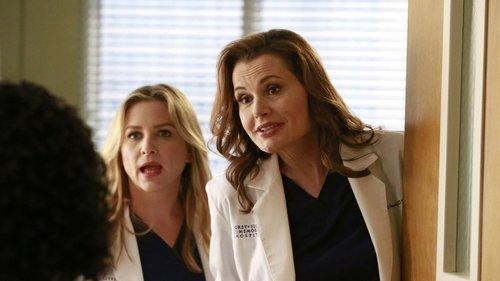 Grey's Anatomy Season 11 Episode 8 - Risk