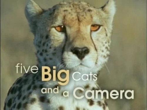 Natural World Season 22 Episode 14 - Five Big Cats and a Camera