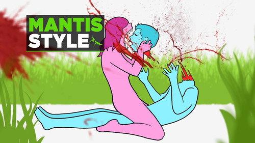 CollegeHumor Shorts Season 6 Episode 6 - 8 Animal-Based Sex Positions You Probably Haven’t Heard Of
