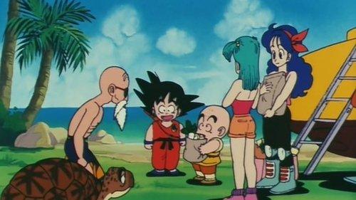 Dragon Ball Season 1 Episode 47 - Kame House — Found!