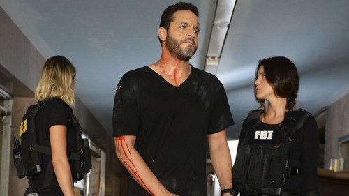 Graceland Season 3 Episode 13 - No Old Tigers