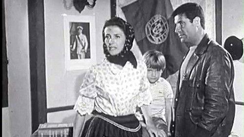 Poly Season 4 Episode 8 - Episode 8