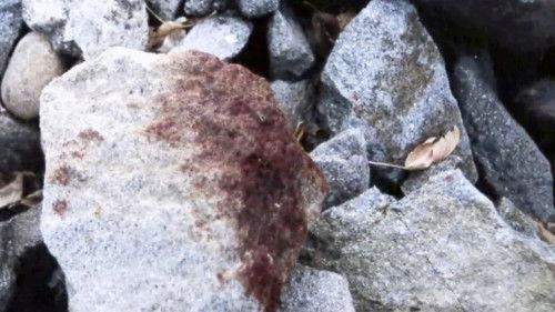 Forensic Files II Season 1 Episode 2 - On the Rocks