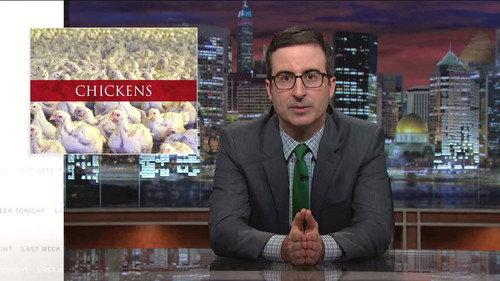 Last Week Tonight with John Oliver Season 2 Episode 14 - Chickens