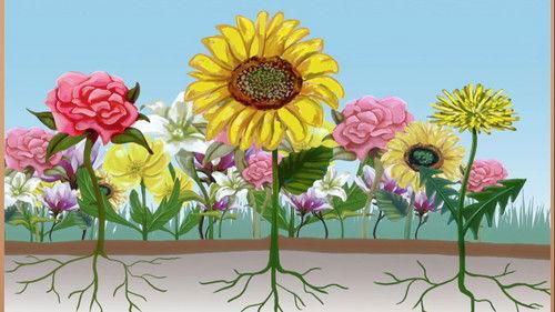 Dinosaur Train Season 2 Episode 12 - Tiny's Garden