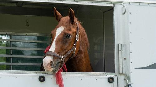 Les cavaliers Season 1 Episode 6 - Episode 6