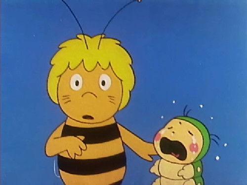 Maya the Bee Season 1 Episode 12 - Maya and The Firefly Jimmy