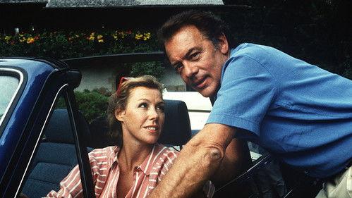 Die Schwarzwaldklinik Season 1 Episode 17 - Episode 17