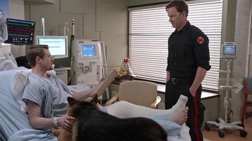 undefined Season 2 Episode 16 - Flare of the Dog