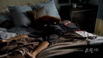 The Glades Season 1 Episode 5 - The Girlfriend Experience