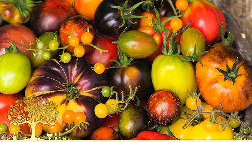 Gardeners' World Season 55 Episode 21 - Episode 21