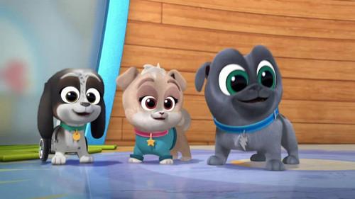 Puppy Dog Pals Season 3 Episode 1 - Welcome to Puppy Playcare!